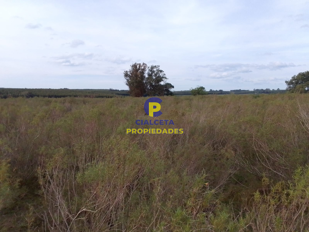 33 hectáreas en Lavalleja - GoPunta - Portal Inmobiliario de Punta del Este - Maldonado