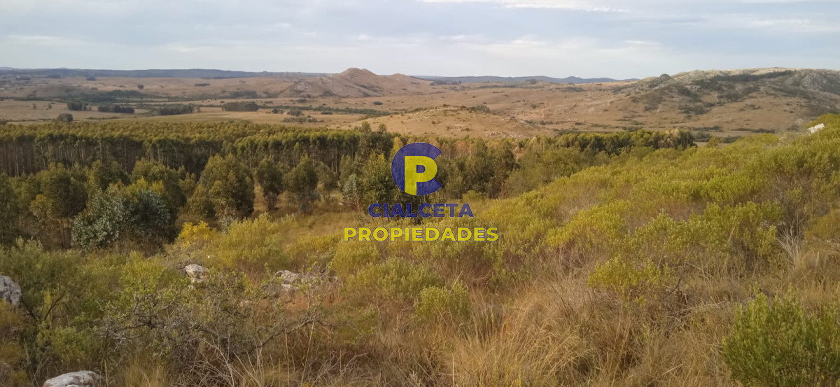 5 hectáreas, entrega 8.000 U$S y cuotas de 593 U$S - GoPunta - Portal Inmobiliario de Punta del Este - Maldonado