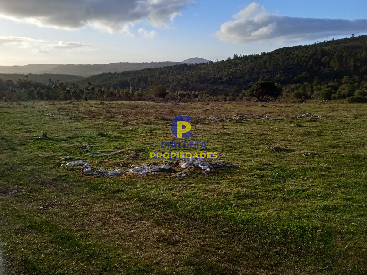 20 hectáreas con tapera, cañada y monte nativo - GoPunta - Portal Inmobiliario de Punta del Este - Maldonado