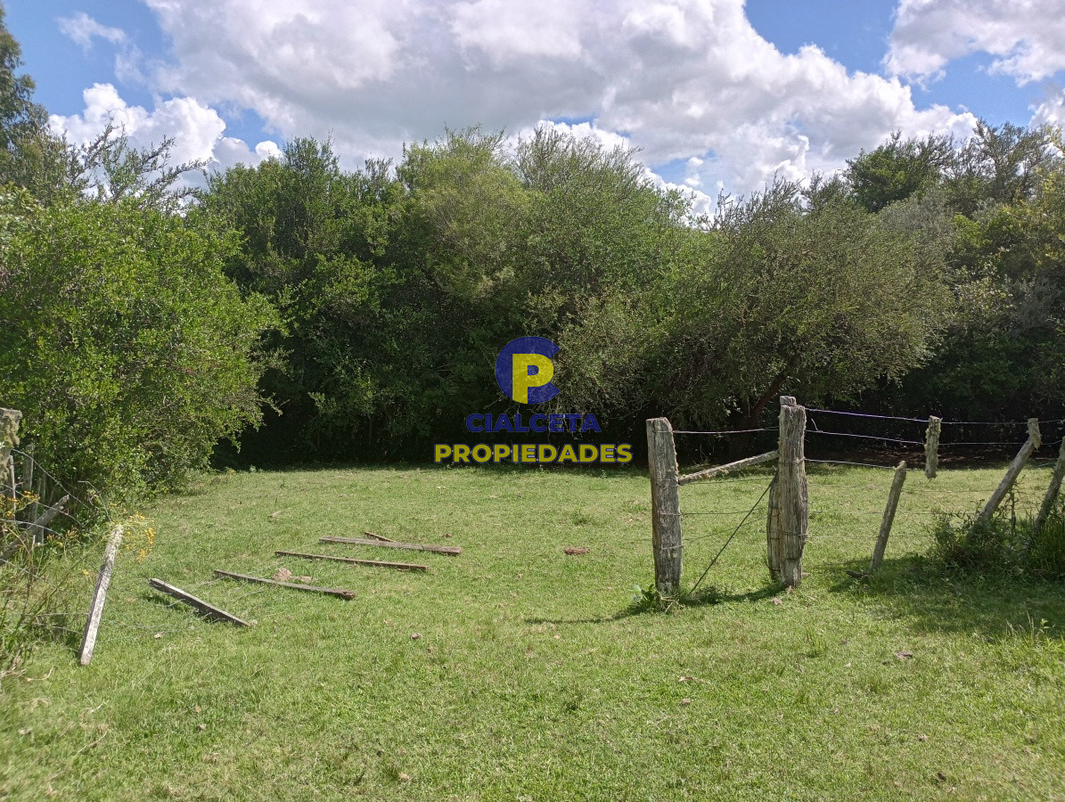 98 hectáreas en Maldonado - GoPunta - Portal Inmobiliario de Punta del Este - Maldonado