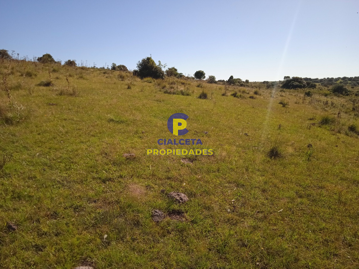 35 hectáreas en Maldonado - GoPunta - Portal Inmobiliario de Punta del Este - Maldonado