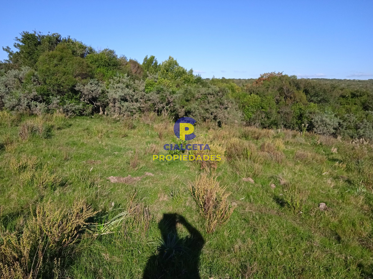 155 hectáreas con casa, instalaciones - GoPunta - Portal Inmobiliario de Punta del Este - Maldonado