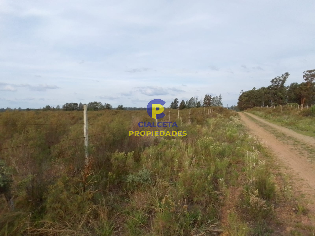 33 hectáreas en Lavalleja - GoPunta - Portal Inmobiliario de Punta del Este - Maldonado