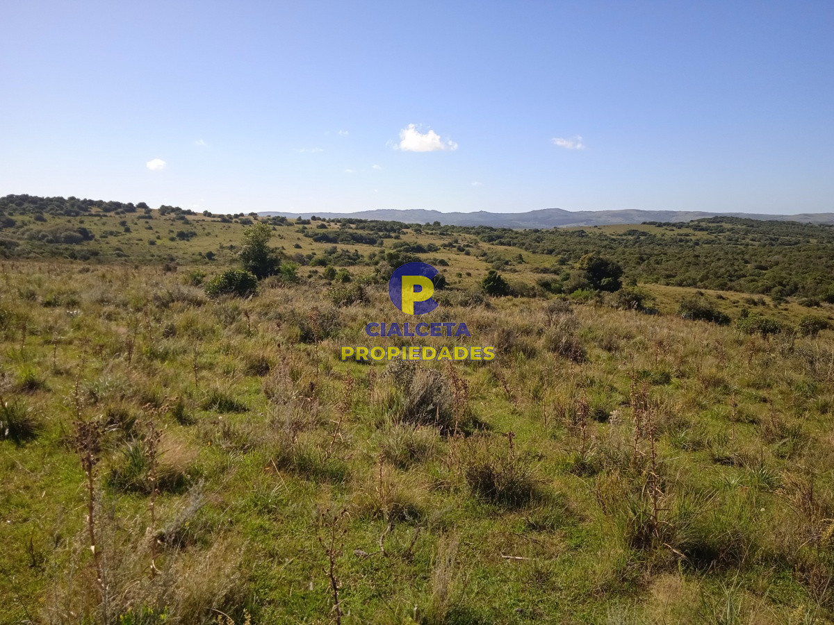 35 hectáreas en Maldonado - GoPunta - Portal Inmobiliario de Punta del Este - Maldonado