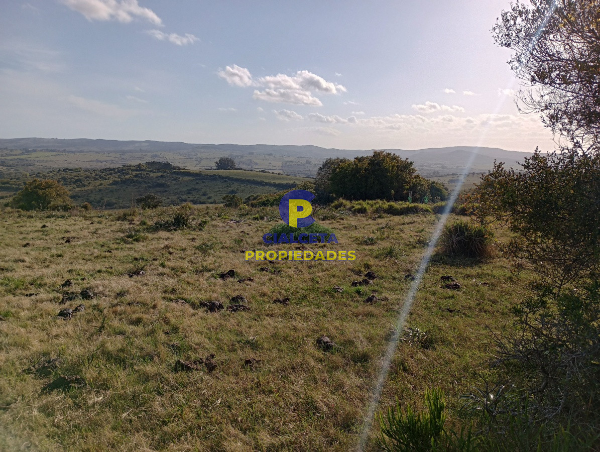 5 hectáreas en Maldonado - GoPunta - Portal Inmobiliario de Punta del Este - Maldonado