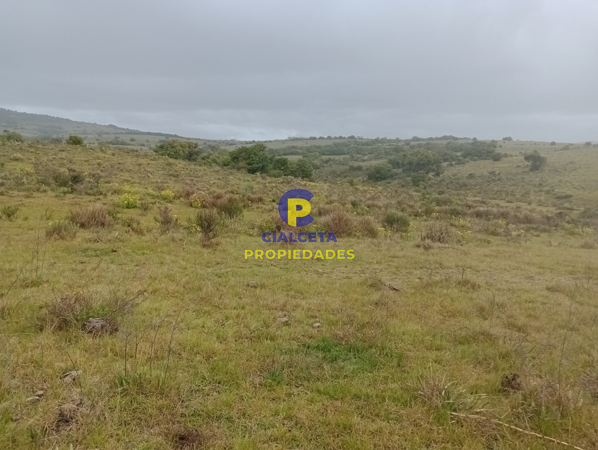 5 hectáreas en Maldonado, Pueblo Edén - GoPunta - Portal Inmobiliario de Punta del Este - Maldonado