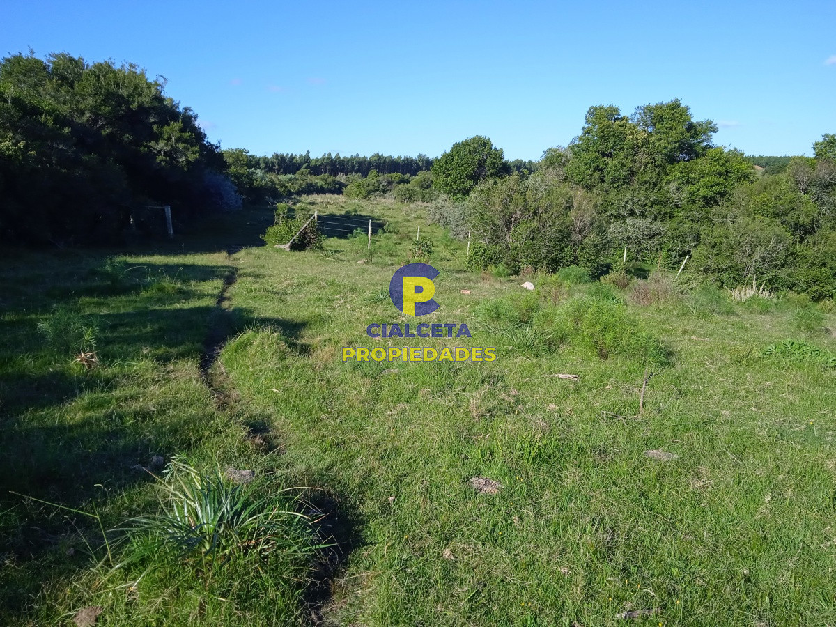 155 hectáreas con casa, instalaciones - GoPunta - Portal Inmobiliario de Punta del Este - Maldonado