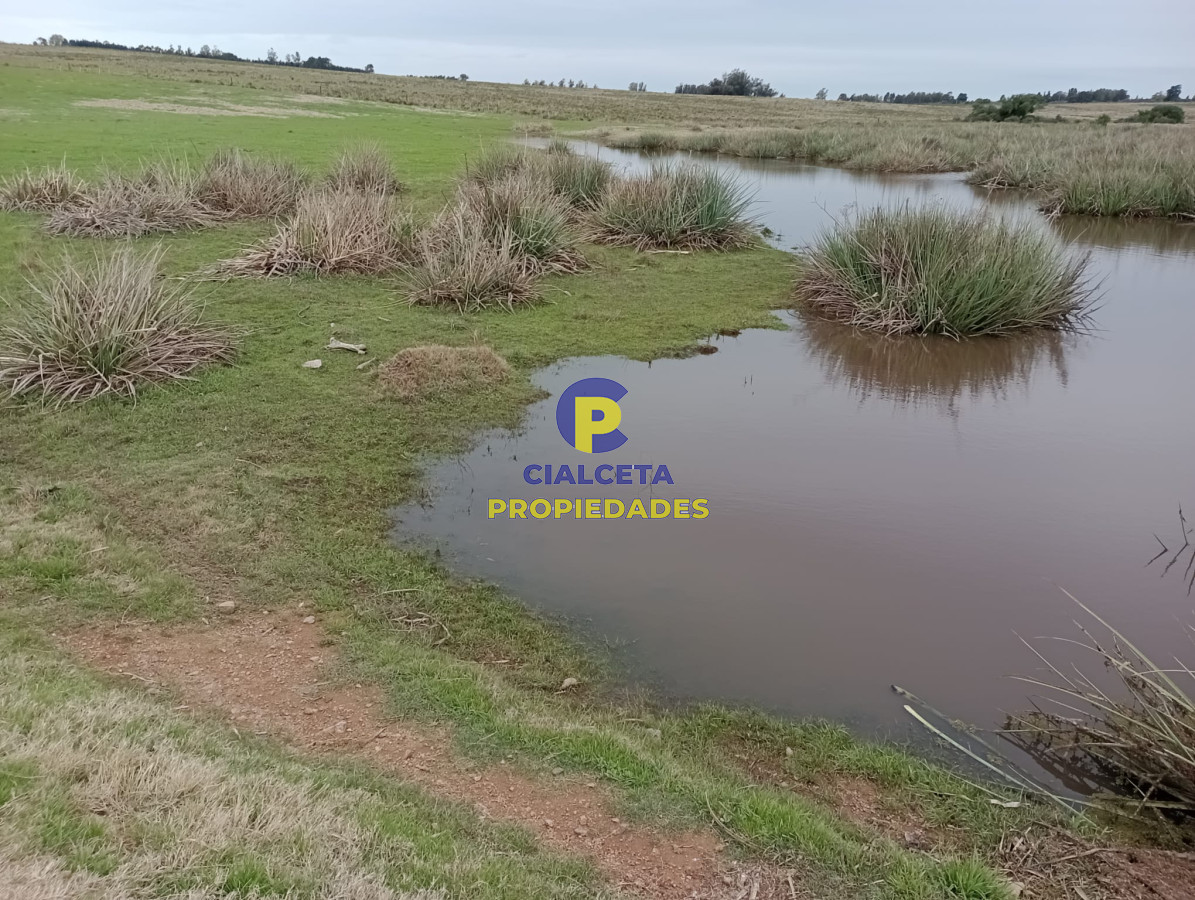 15 hectáreas en Maldonado - GoPunta - Portal Inmobiliario de Punta del Este - Maldonado