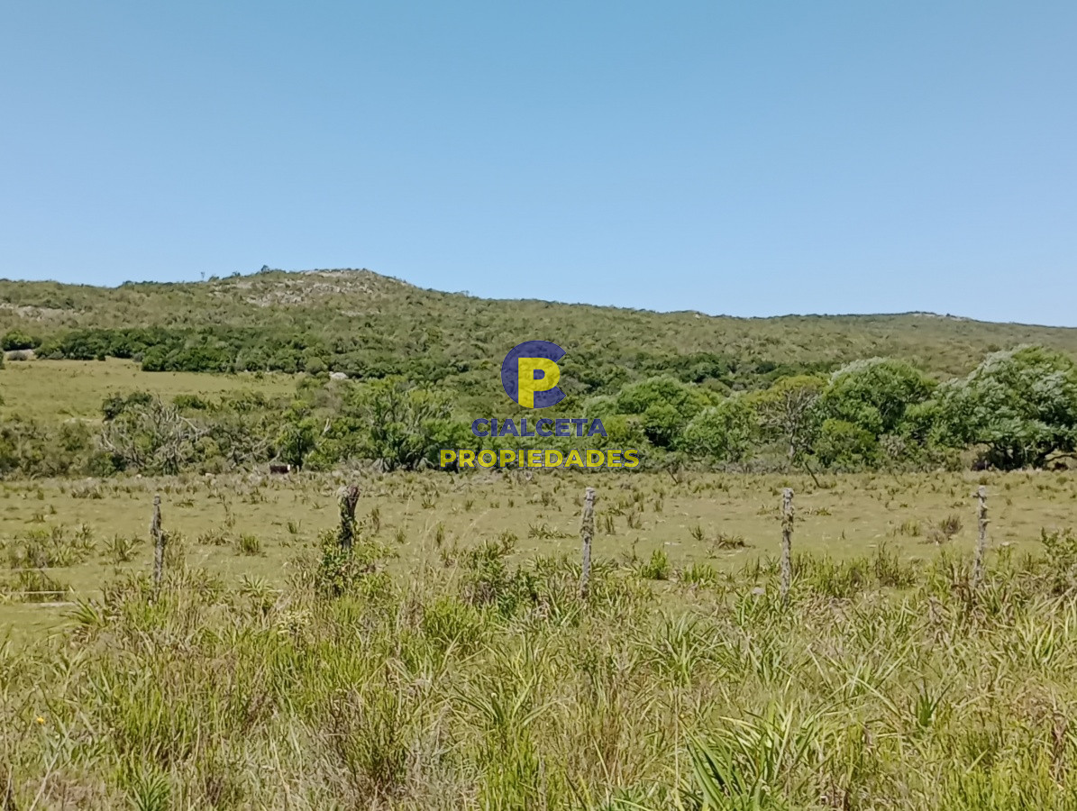 419 hectáreas en Rocha - GoPunta - Portal Inmobiliario de Punta del Este - Maldonado
