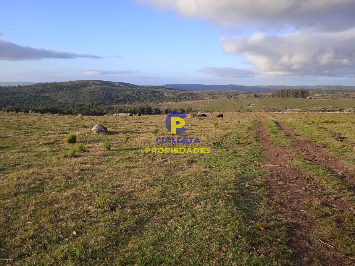 20 hectáreas con tapera, cañada y monte nativo - GoPunta - Portal Inmobiliario de Punta del Este - Maldonado