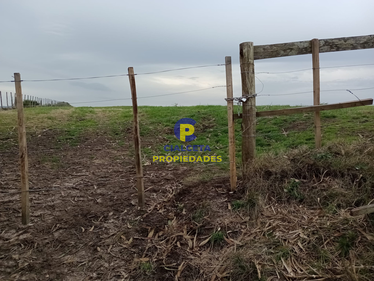15 hectáreas en Maldonado - GoPunta - Portal Inmobiliario de Punta del Este - Maldonado