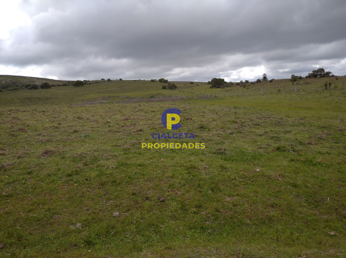 267 hectáreas en Maldonado - GoPunta - Portal Inmobiliario de Punta del Este - Maldonado