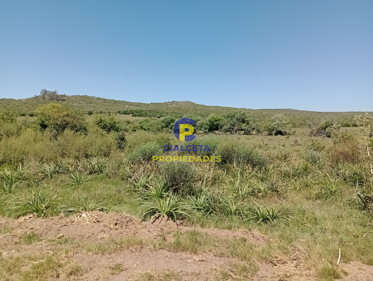 419 hectáreas en Rocha - GoPunta - Portal Inmobiliario de Punta del Este - Maldonado