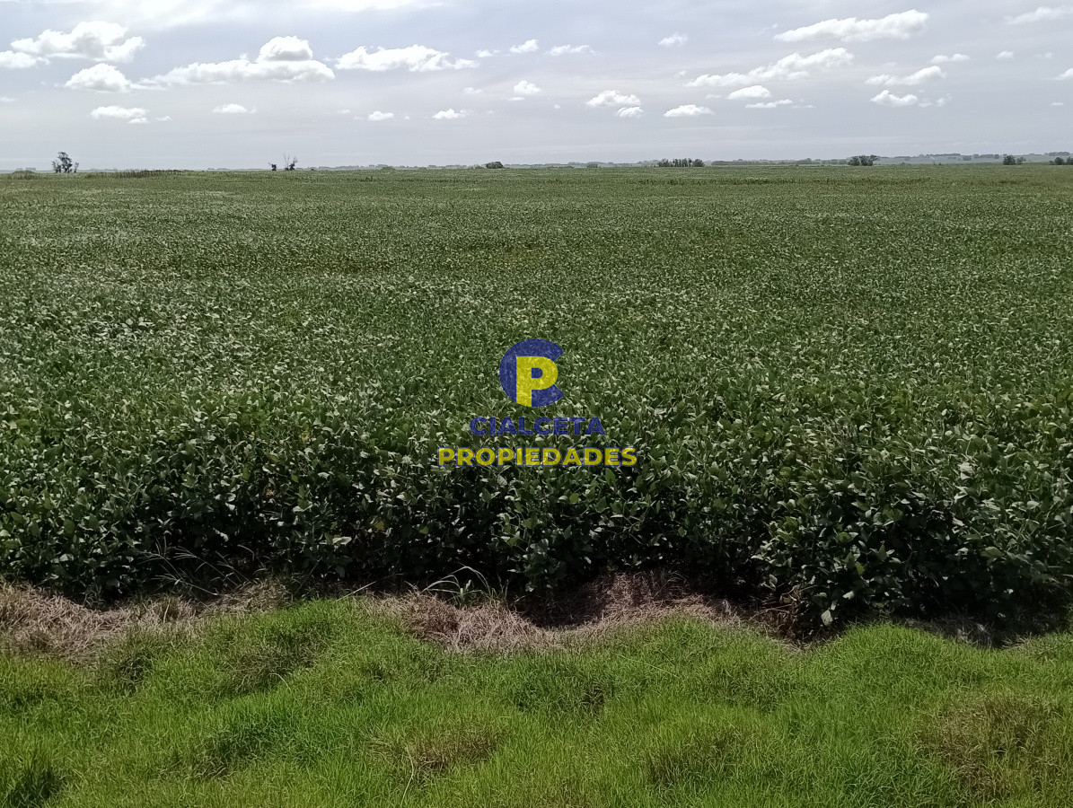 350 hectáreas en lavalleja - GoPunta - Portal Inmobiliario de Punta del Este - Maldonado