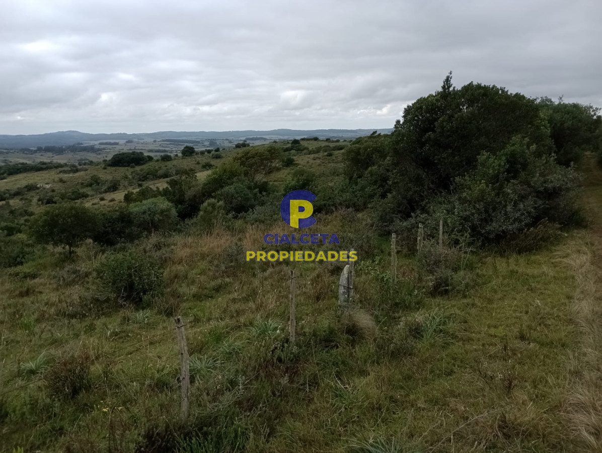 48 hectáreas con 8 mil metros en Garzón - GoPunta - Portal Inmobiliario de Punta del Este - Maldonado
