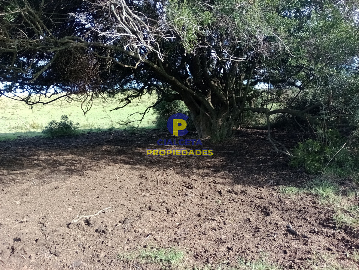 153 hectáreas en Maldonado - GoPunta - Portal Inmobiliario de Punta del Este - Maldonado