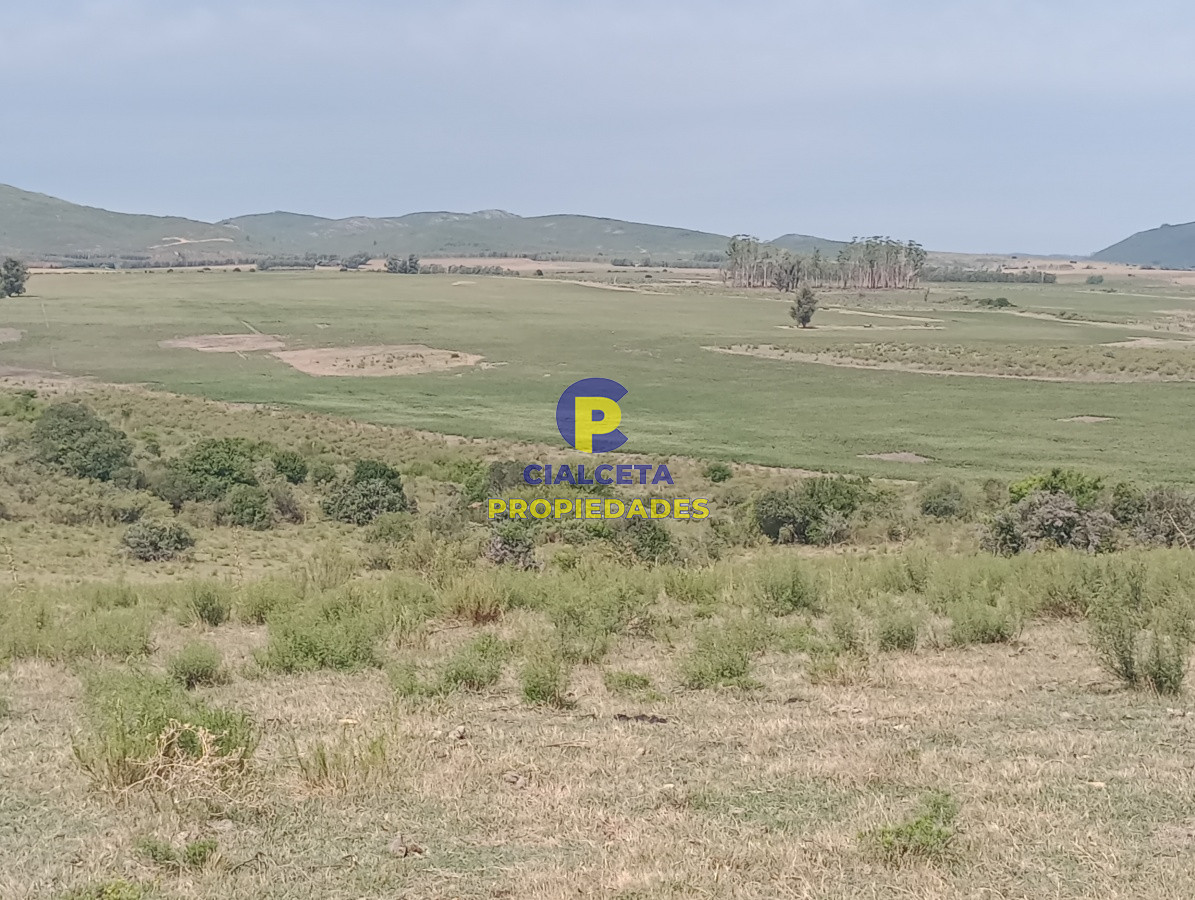 170 hectáreas en lavalleja - GoPunta - Portal Inmobiliario de Punta del Este - Maldonado