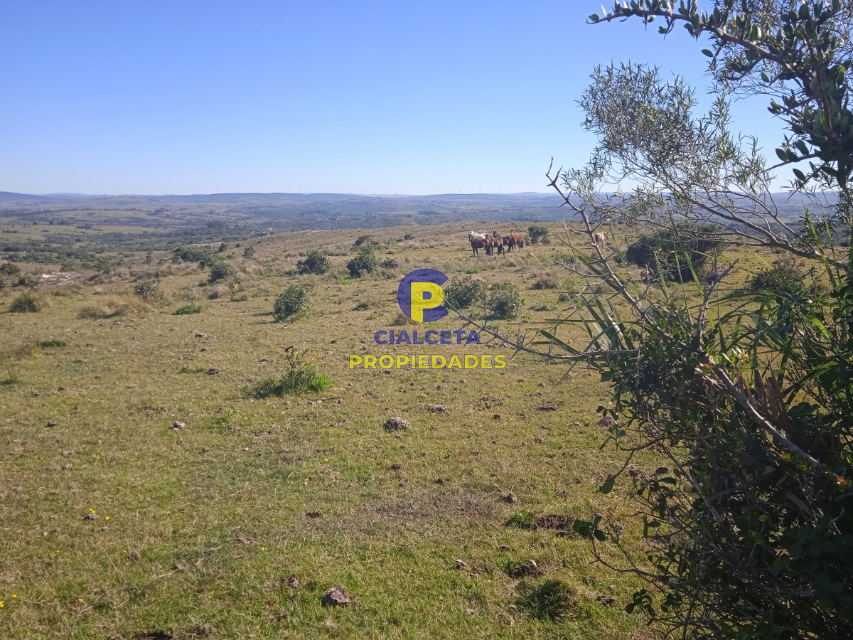 5 hectáreas en las Cañas - GoPunta - Portal Inmobiliario de Punta del Este - Maldonado