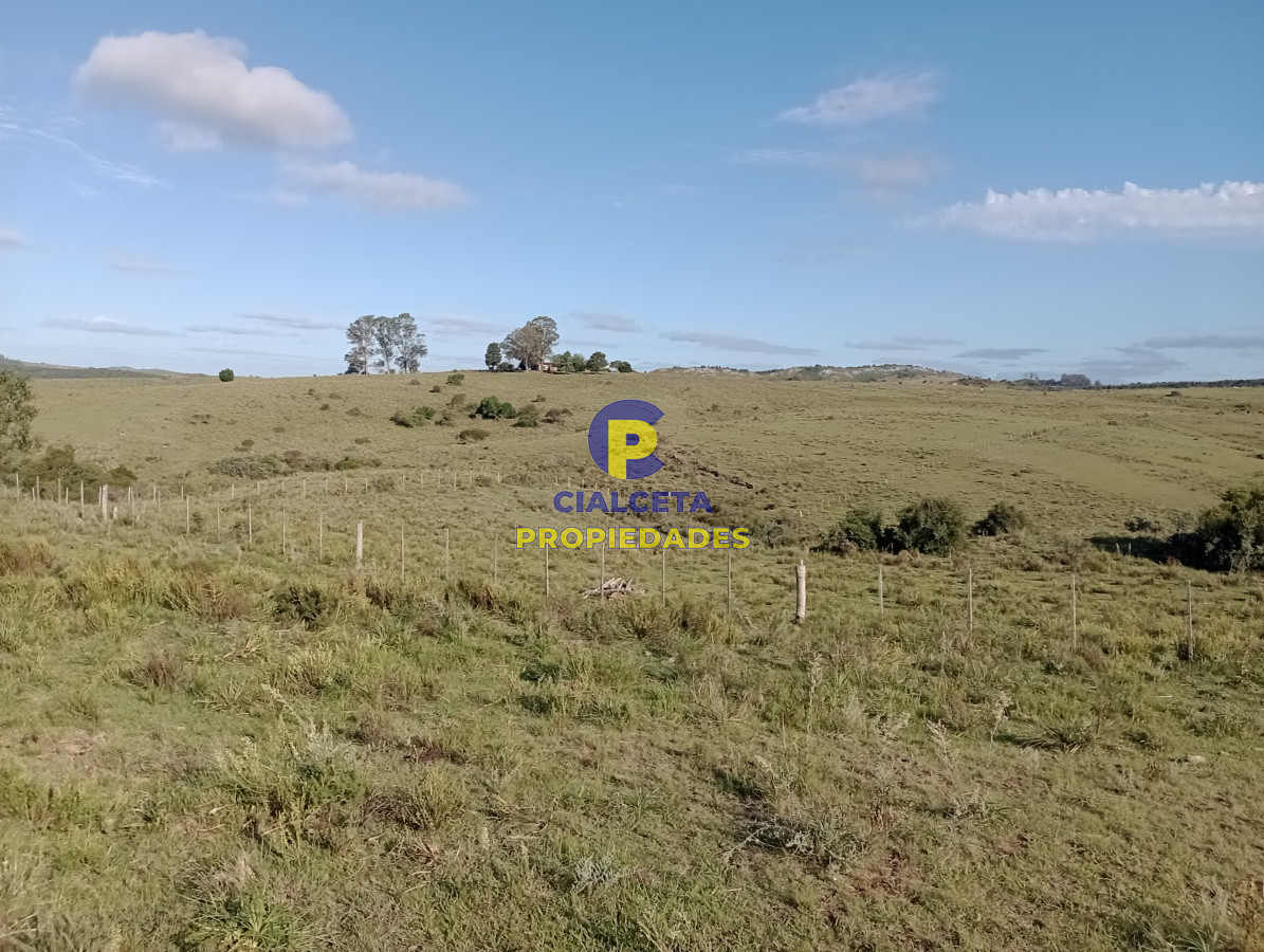 153 hectáreas en Maldonado - GoPunta - Portal Inmobiliario de Punta del Este - Maldonado