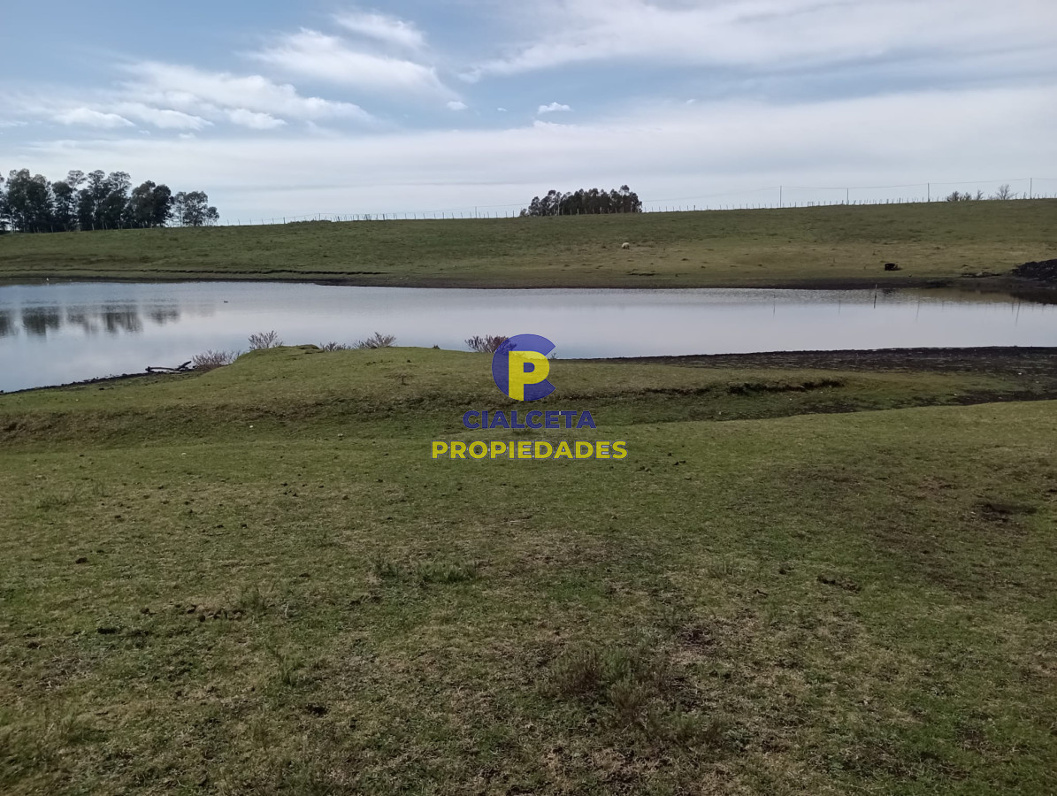 22 hectáreas en lavalleja - GoPunta - Portal Inmobiliario de Punta del Este - Maldonado
