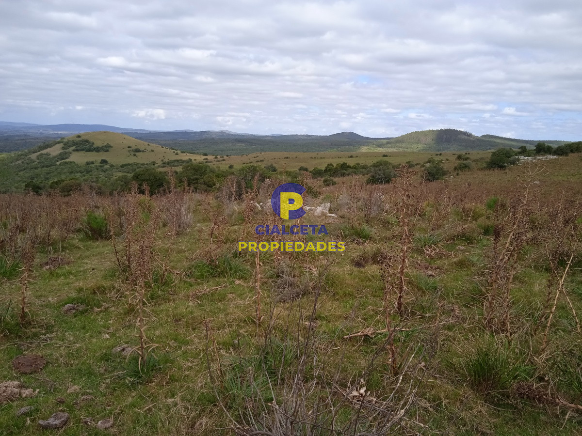 29 hectáreas en maldonado - GoPunta - Portal Inmobiliario de Punta del Este - Maldonado