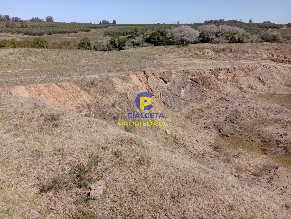 16 hectáreas en Maldonado - GoPunta - Portal Inmobiliario de Punta del Este - Maldonado
