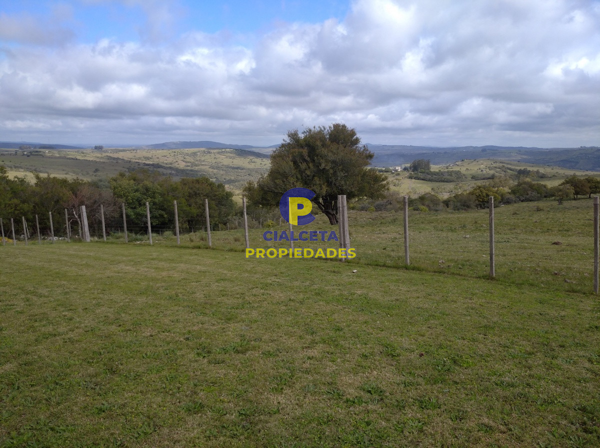 267 hectáreas en Maldonado - GoPunta - Portal Inmobiliario de Punta del Este - Maldonado