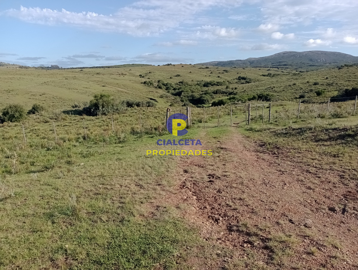 153 hectáreas en Maldonado - GoPunta - Portal Inmobiliario de Punta del Este - Maldonado