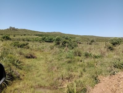 419 hectáreas en Rocha
