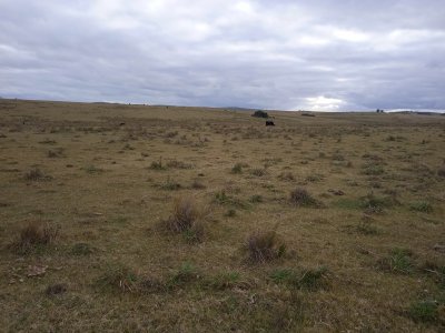 60 hectáreas en Garzón