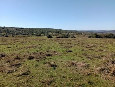 2957 hectáreas en Cerro Largo