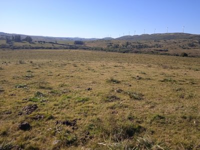 60 hectáreas en Carapé