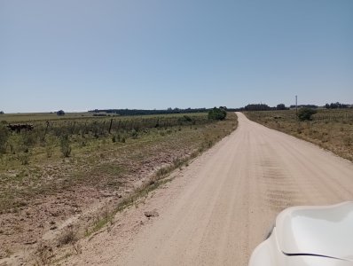 16 hectáreas en Maldonado