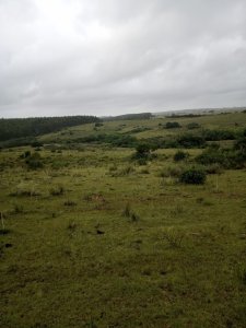 108 hectáreas a 12 km de Garzón