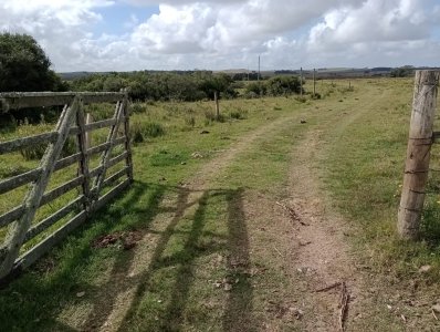 30 hectáreas en Garzón