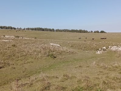 7 hectáreas en Maldonado, sobre camino