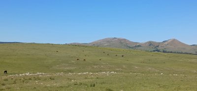 215 hectáreas en Lavalleja