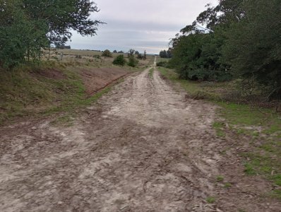 15 hectáreas en Maldonado