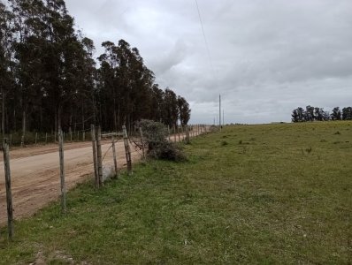 109 hectáreas en Maldonado