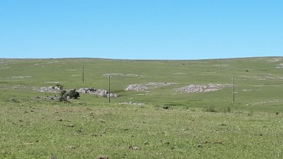 100 hectáreas en Lavalleja