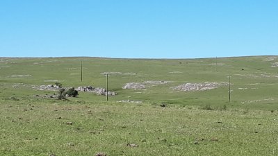 100 hectáreas en Lavalleja