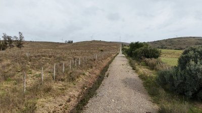 86 hectáreas en Maldonado, con aguada, monte y cerro