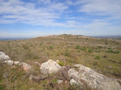 5 hectáreas en las Cañas