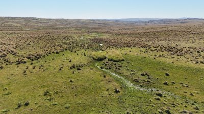 140 hectáreas a 3.000 dólares la hectárea