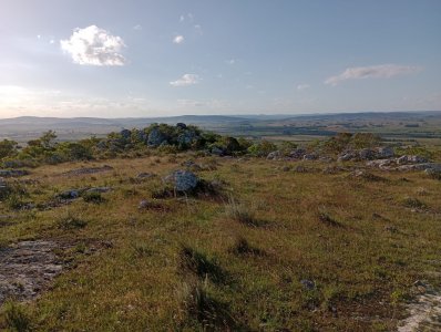 27 hectáreas en Maldonado, excelente vista