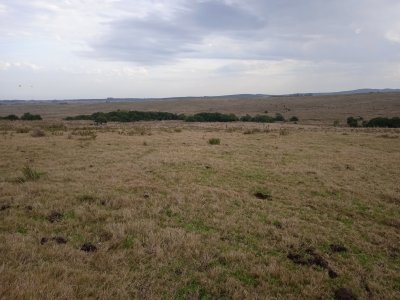 260 hectáreas en Maldonado, ideal fraccionamiento