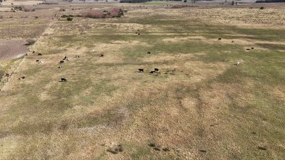 92 hectáreas con cañada y buen acceso