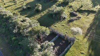 28 hectáreas con cañada y monte nativo, Maldonado