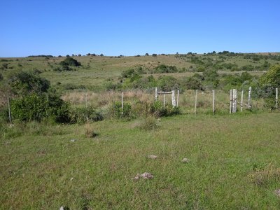 35 hectáreas en Maldonado