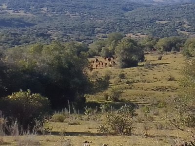 41 hectáreas y media en Maldonado, Aigua